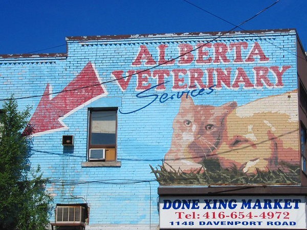 Brought To Heal: 10 Awesome Animal Hospital Signs