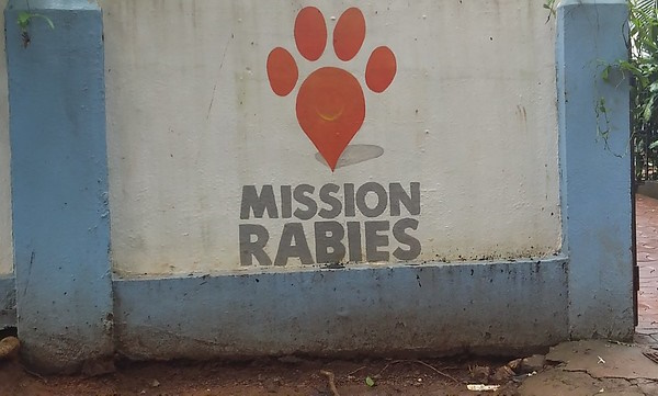 Brought To Heal: 10 Awesome Animal Hospital Signs