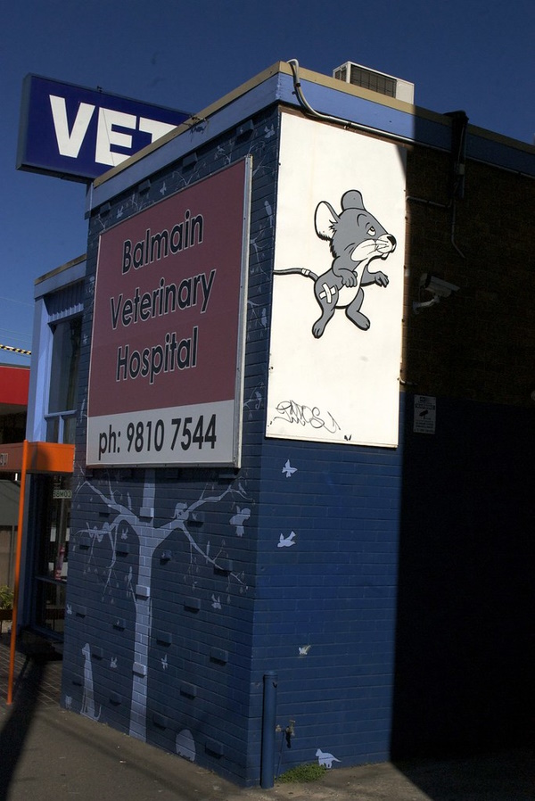 Brought To Heal: 10 Awesome Animal Hospital Signs