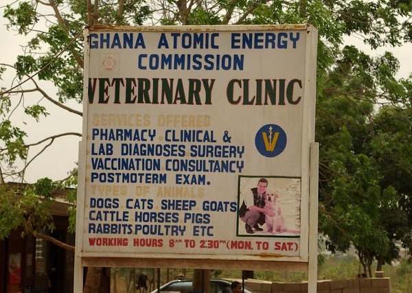 Brought To Heal: 10 Awesome Animal Hospital Signs