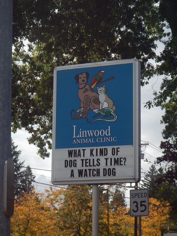 Brought To Heal: 10 Awesome Animal Hospital Signs
