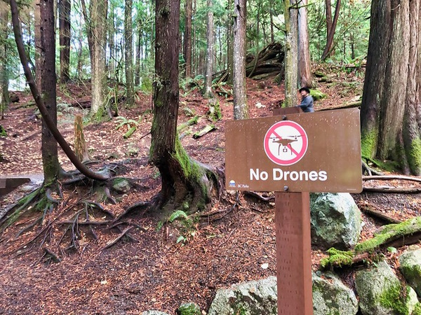 Whirled Piece: 10 Nifty ‘No Drones’ Signs