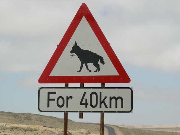 Sandy Drivers: Nine Nifty Namibian Road Signs